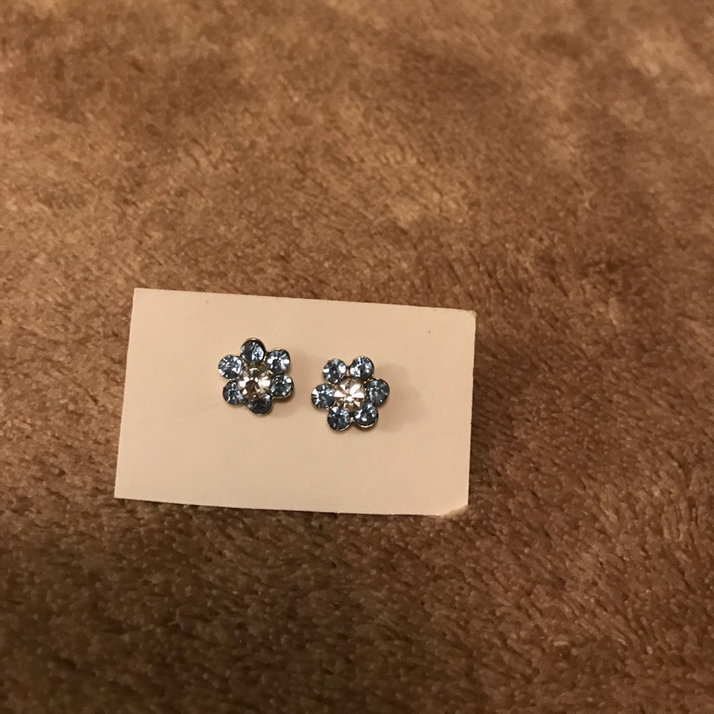 ❌Blue Flower Earrings